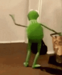 Kermit Dancing GIF