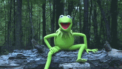 Kermit Doused With Water Falling Meme GIF