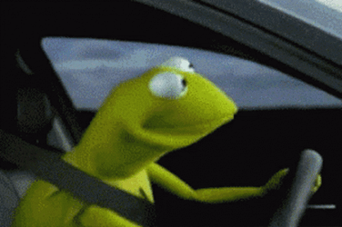Kermit Frog 50 Cent Meme GIF