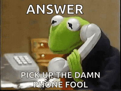Kermit Frog Pick Up Damn Phone Fool GIF