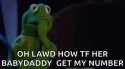 Kermit Frog Tf Her Babydaddy Get My Number GIF