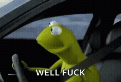 Kermit In Driver's Seat Saying Well Fuck GIF