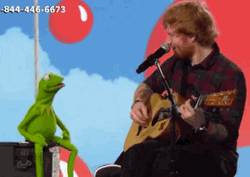 Kermit Jamming With Ed Sheeran Meme GIF