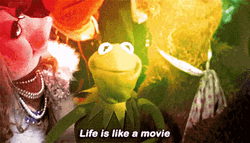 Kermit Life Is Like A Movie