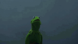 Kermit Meeting Yoda Dark Night Meme GIF