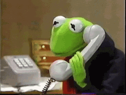 Kermit On The Phone