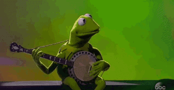 Kermit Playing Guitar