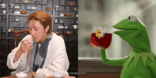 Kermit Tea And Seventeen The 8 Kpop GIF