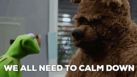 Kermit The Frog And A Brown Teddy Bear Are Standing Next To Each Other And Talking . GIF