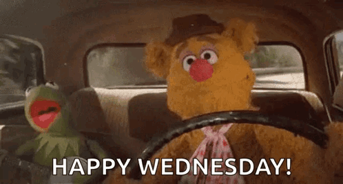 Kermit The Frog And Fozzie Bear Are Driving A Car And Saying Happy Wednesday . GIF