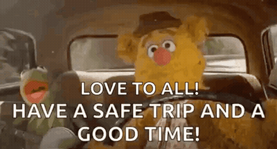 Kermit The Frog And Fozzie Bear Are Sitting In The Back Seat Of A Car And Driving . GIF