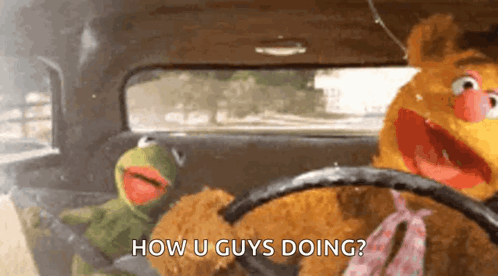 Kermit The Frog And Fozzie Bear Asking How U Guys Doing GIF