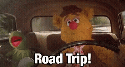 Kermit The Frog And Fozzie Bear From The Muppets Are Driving A Car And Saying Road Trip . GIF
