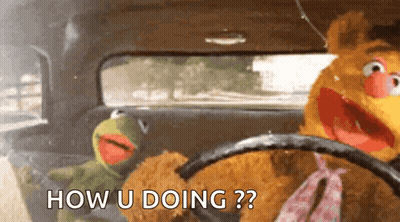 Kermit The Frog And Fozzie Bear In Car Saying How U Doing GIF