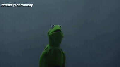 Kermit The Frog And Grim Reaper Are Standing Next To Each Other In The Dark And Looking At Each Other . GIF