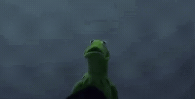 Kermit The Frog And Grim Reaper Are Standing Next To Each Other In The Dark And Looking At Each Other . GIF