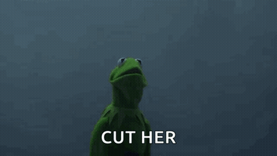 Kermit The Frog And Grim Reaper Are Standing Next To Each Other In The Dark And The Grim Reaper Is Saying `` Cut Her ''  GIF