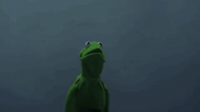Kermit The Frog And Grim Reaper Are Standing Next To Each Other In The Dark Wearing Hoods . GIF