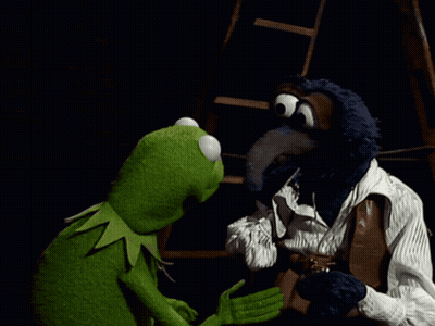 Kermit The Frog And Pirate Face Each Other GIF