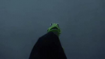 Kermit The Frog And The Grim Reaper Are Standing Next To Each Other And The Grim Reaper Is Wearing A Black Hood . GIF