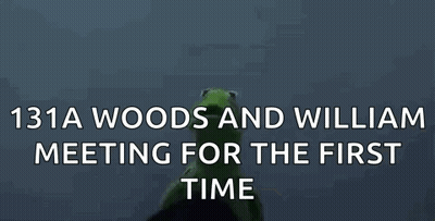 Kermit The Frog And William Shakespeare Are Having A Meeting For The First Time GIF