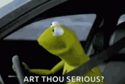 Kermit The Frog Asking Are You Serious GIF