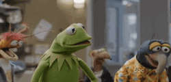 Kermit The Frog Awkward Muppets GIF