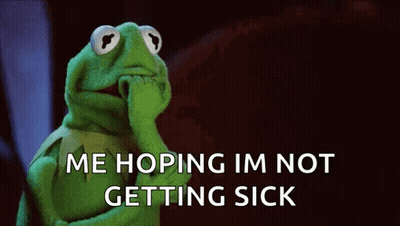 Kermit The Frog Covering Mouth GIF