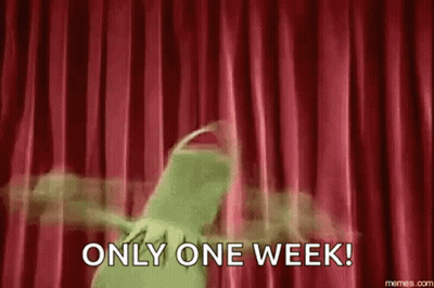 Kermit The Frog Dancing On Stage GIF