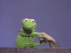 Kermit The Frog Deal GIF