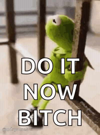 Kermit The Frog Do It Now Bitch GIF