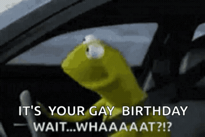 Kermit The Frog Driving Car Saying Its Your Gay Birthday GIF