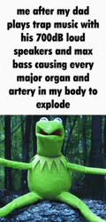 Kermit The Frog Funny Meme GIF
