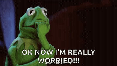 Kermit The Frog Hand-On-Face Ok Now I'm Worried GIF