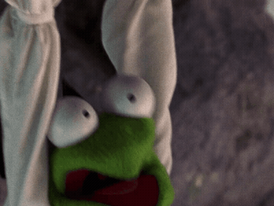 Kermit The Frog Hanging Upside Down From A Cloth GIF