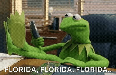 Kermit The Frog Holding Cell Phone Saying Florida Florida Florida GIF