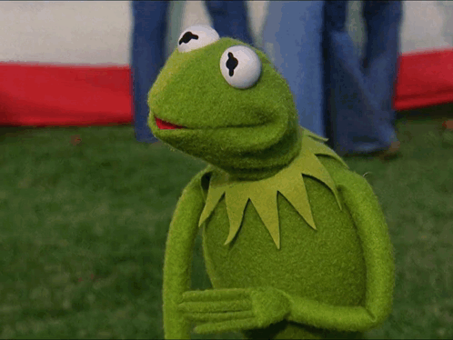 Kermit The Frog Huh GIF