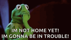 Kermit The Frog Im In Danger GIF