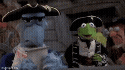 Kermit The Frog In Pirate Hat And Sunglasses Sitting Next To A Bird GIF