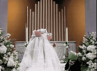 Kermit The Frog In Wedding Dress At Church Organ GIF