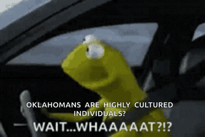 Kermit The Frog Is Driving A Car And Says Oklahomaans Are Highly Cultured Individuals Wait Whaaaat ? GIF