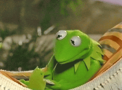 Kermit The Frog Is Laying In A Hammock With A Coin In His Mouth . GIF