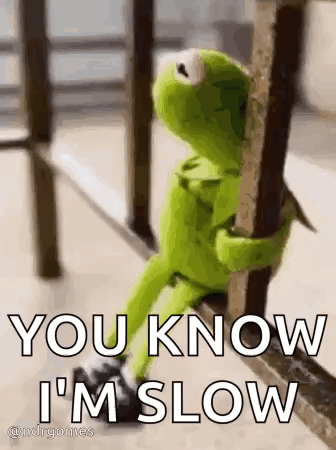 Kermit The Frog Is Leaning Against A Railing And Saying `` You Know I 'M Slow '' GIF