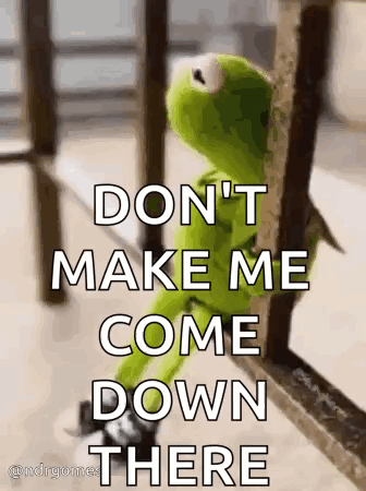 Kermit The Frog Is Leaning Against A Railing With The Words `` Don 'T Make Me Come Down There '' . GIF