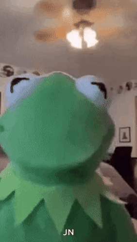 Kermit The Frog Is Looking At The Camera In A Living Room With A Ceiling Fan . GIF
