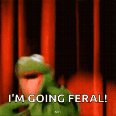 Kermit The Frog Is Saying I 'M Going Feral In Front Of A Red Curtain . GIF