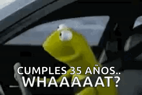 Kermit The Frog Is Sitting In The Driver 'S Seat Of A Car And Says Cumples 35 Anos Whaaaat ? GIF