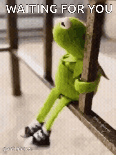 Kermit The Frog Is Sitting On A Railing And Hugging A Railing . GIF