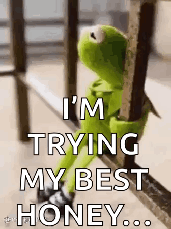 Kermit The Frog Is Sitting On A Railing And Saying `` I 'M Trying My Best Honey ... '' . GIF