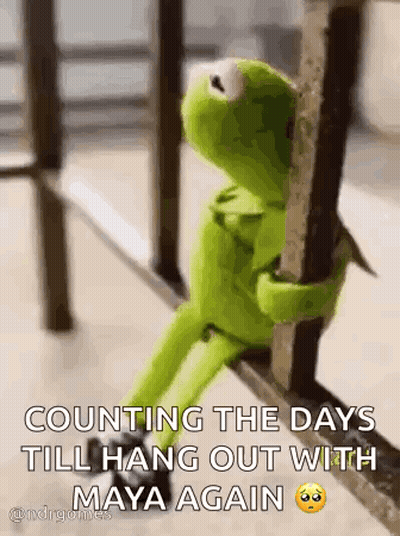 Kermit The Frog Is Sitting On A Railing Holding Onto A Railing And Counting The Days Till Hang Out With Maya Again GIF